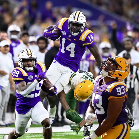 Ranking LSU’s five best true freshman from the 2024 football season