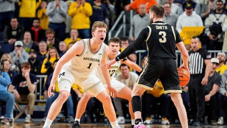 Michigan basketball: Three players among the most impactful transfers of 2024-25 season