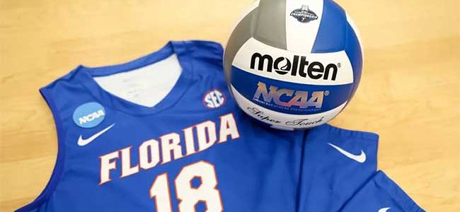 Florida hires Ryan Theis as volleyball coach: Ex-Mary Wise assistant taking over Gators in 2025