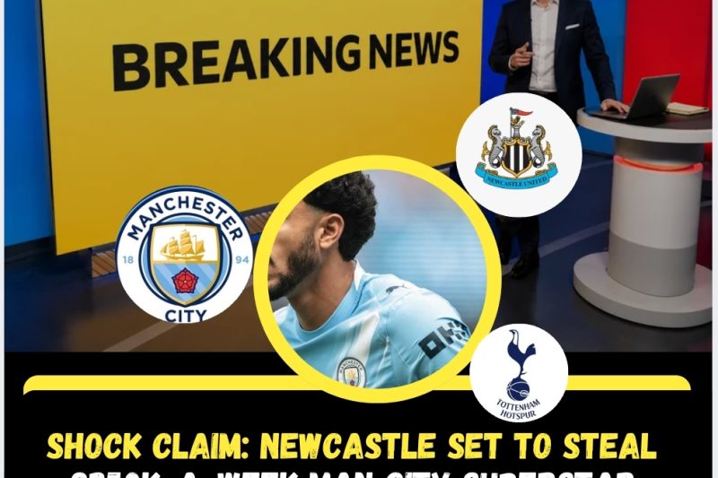 SHOCK CLAIM: Newcastle Set to STEAL &pound;250k-a-Week Man City Superstar From Under Tottenham&rsquo;s Nose!